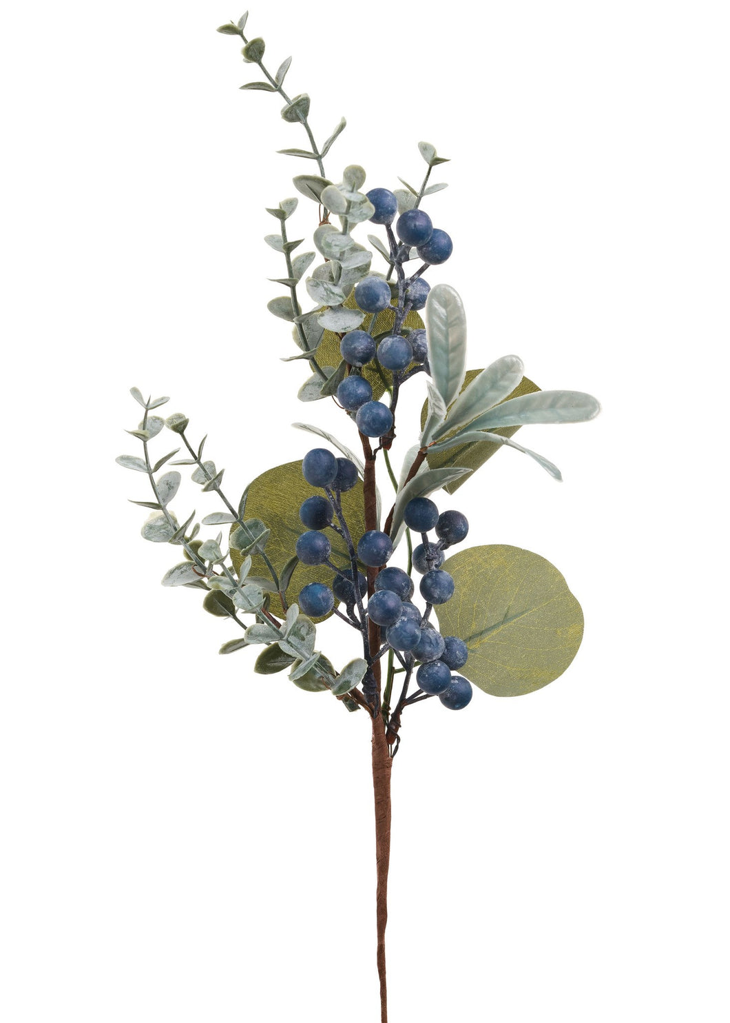 Stem Blueberries