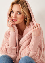 Load image into Gallery viewer, I Plush You This Much Cozy Hoody
