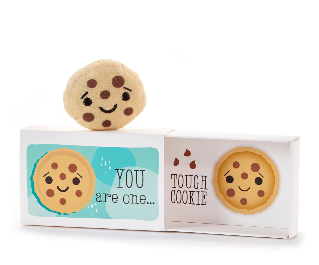 Hug W/Gift Box - Cookie