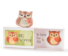 Load image into Gallery viewer, Hug W/Gift Box - Owl
