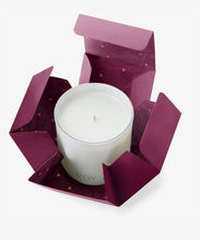 Load image into Gallery viewer, Voy Fragrance Candle - Mistletoe &amp; Oakmoss
