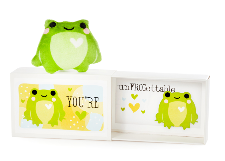 Hug W/Gift Box - Frog